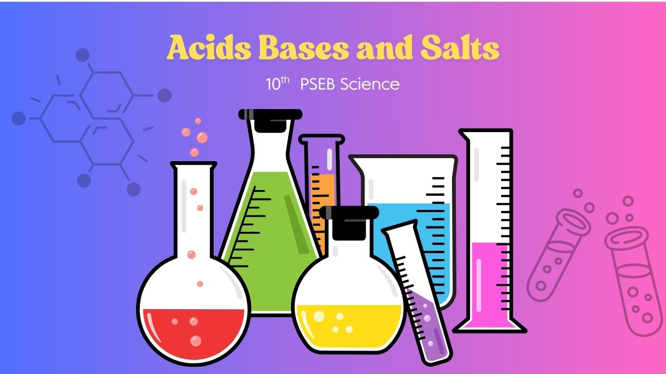 Acids Bases and Salts