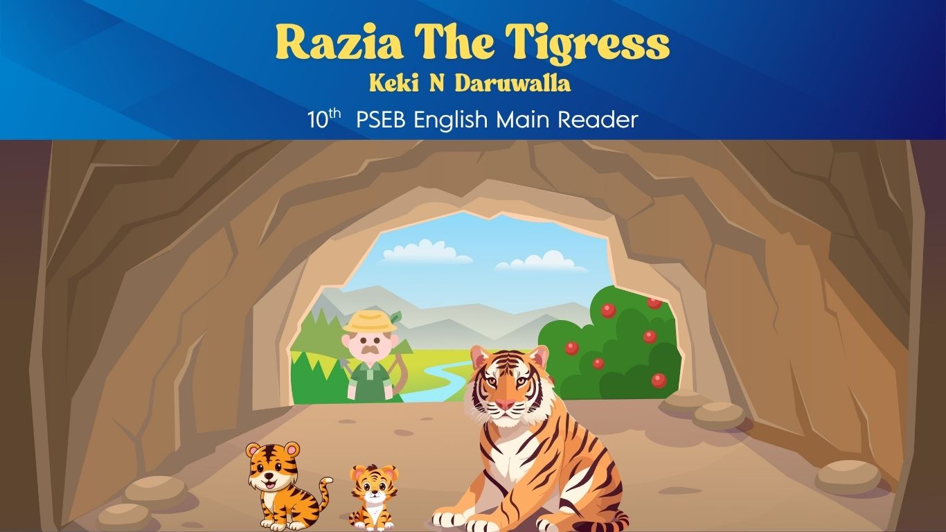 Razia The Tigress