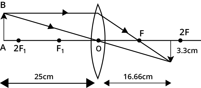 PSEB Solutions Class 10th