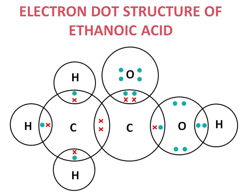 dot structure of ethanoic acid 