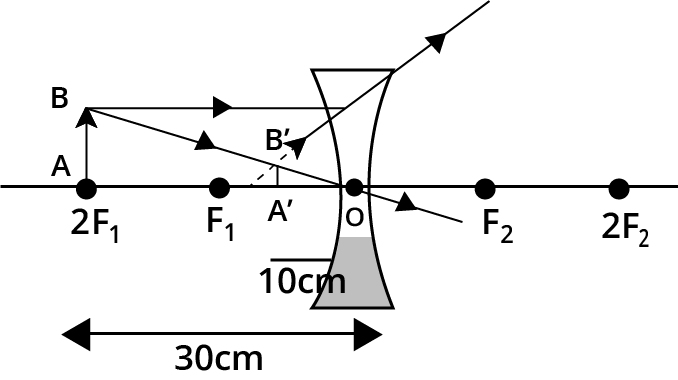 PSEB Solutions Class 10th