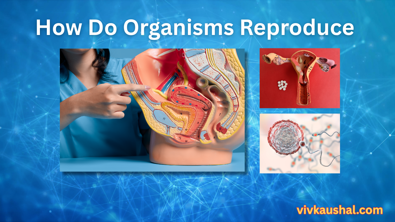 How do organisms reproduce